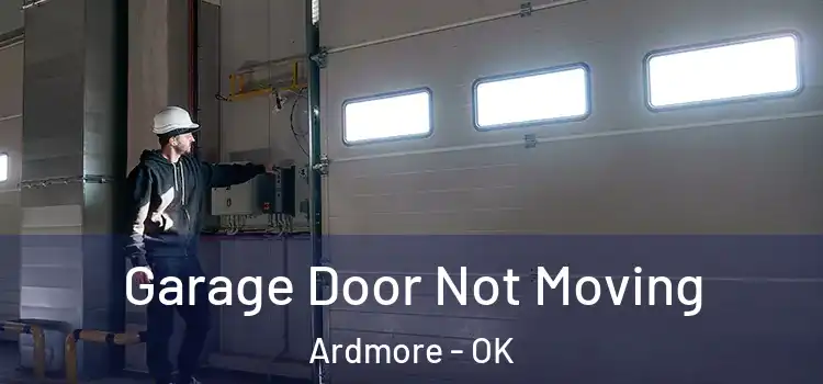  Garage Door Not Moving Ardmore - OK