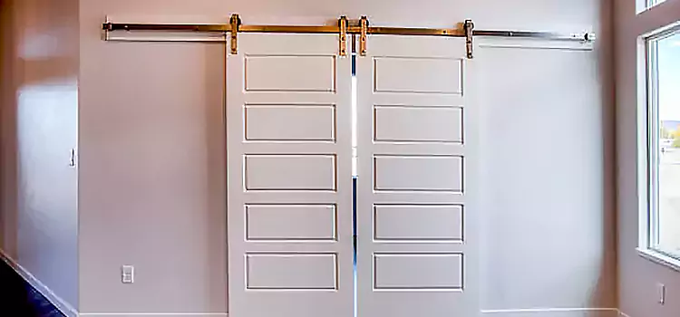 Glass Barn Door with Installation Hardware Kit Ardmore